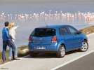 Volkswagen Polo 9N3 006.jpg