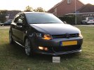 Roy's Polo 6R - Pepper Grey