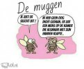 muggen-8750.jpg