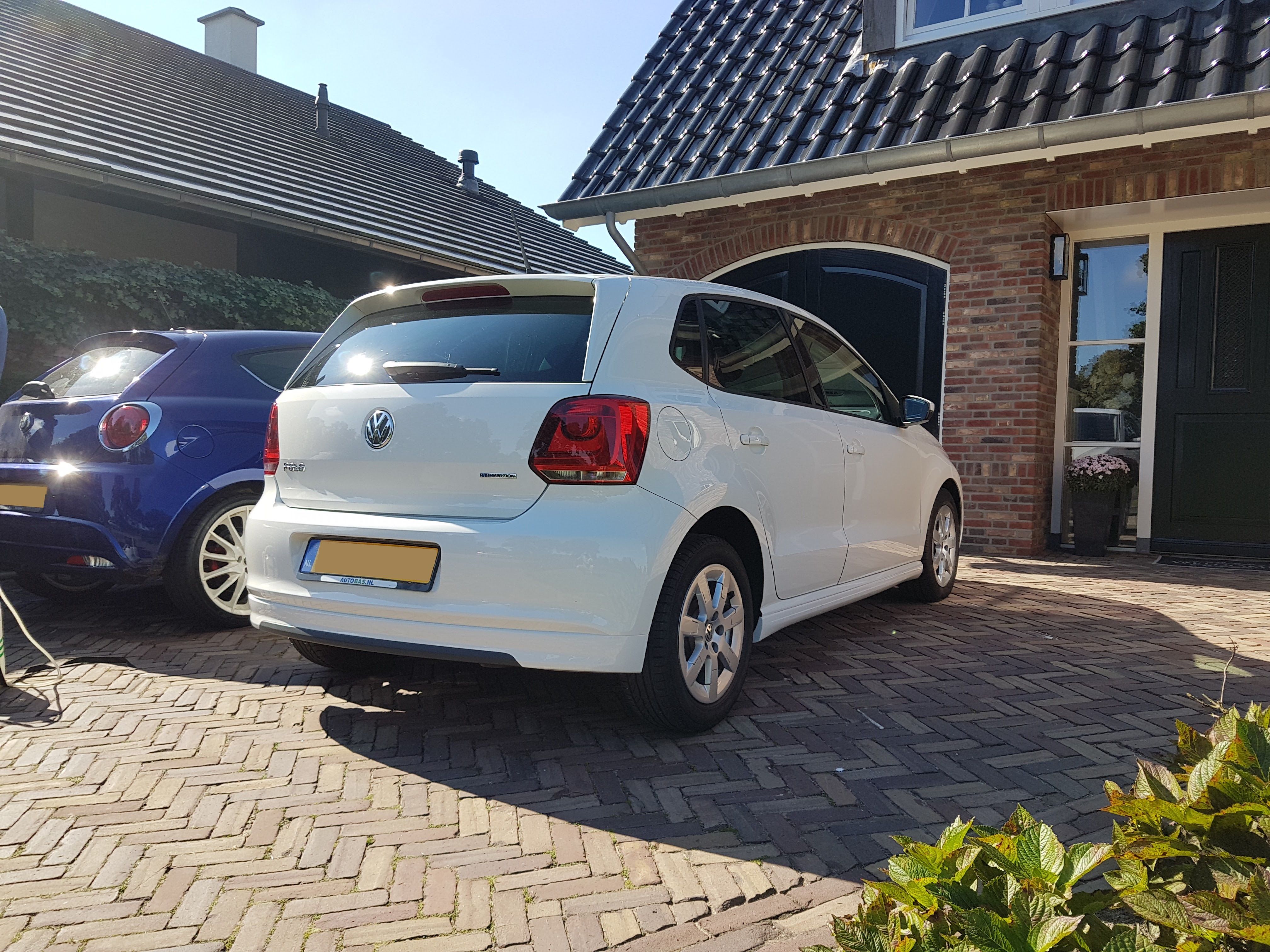 Polo Bluemotion