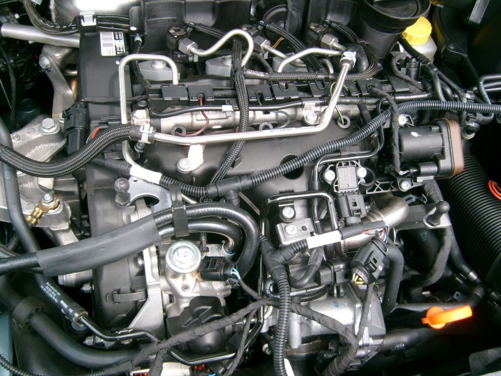S7301261.jpg